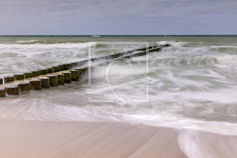 frei wählbarer Bildausschnitt für Ihr Bild auf Papier