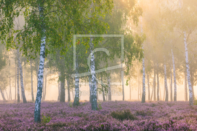 frei wählbarer Bildausschnitt für Ihr Bild auf Papier