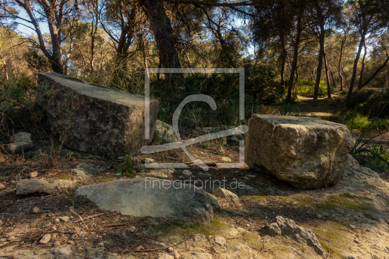 frei wählbarer Bildausschnitt für Ihr Bild auf Papier