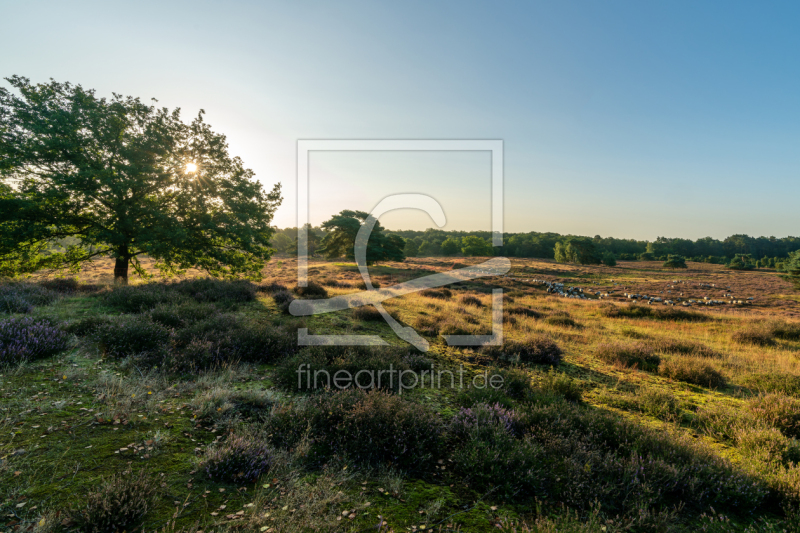 frei wählbarer Bildausschnitt für Ihr Bild auf Papier