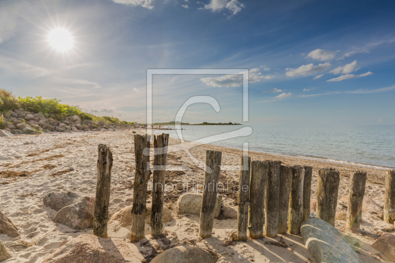 frei wählbarer Bildausschnitt für Ihr Bild auf Papier