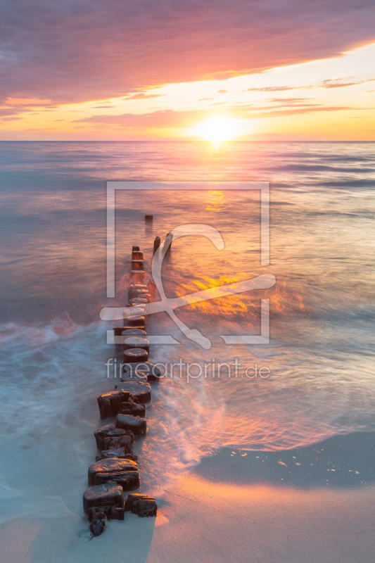 frei wählbarer Bildausschnitt für Ihr Bild auf Papier