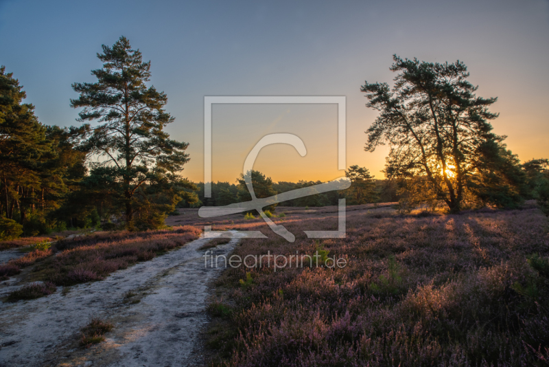 frei wählbarer Bildausschnitt für Ihr Bild auf Papier