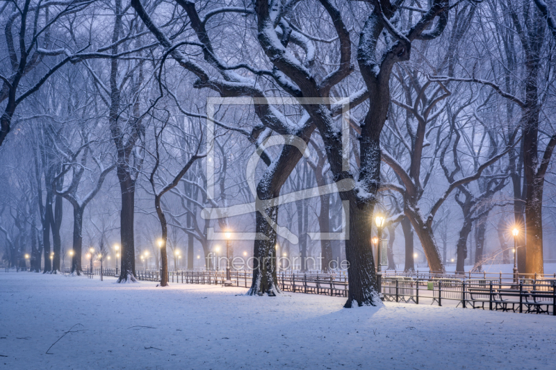 frei wählbarer Bildausschnitt für Ihr Bild auf Papier