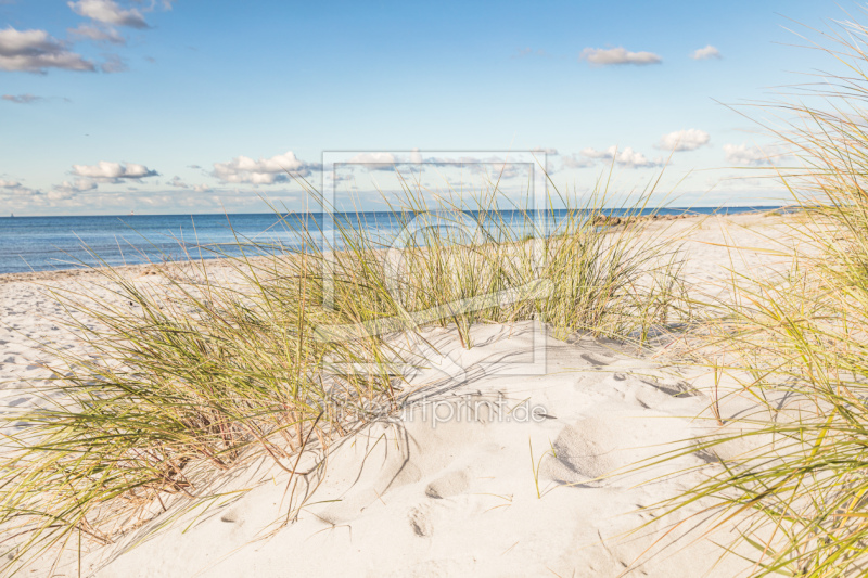 frei wählbarer Bildausschnitt für Ihr Bild auf Papier