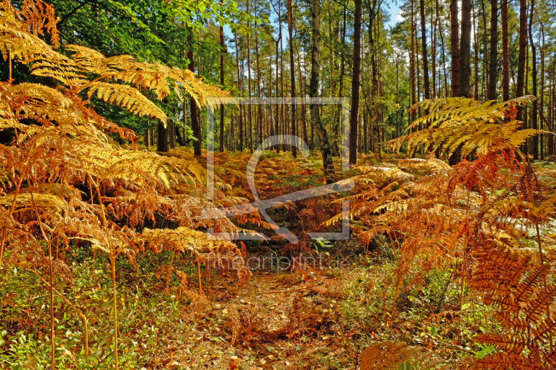 frei wählbarer Bildausschnitt für Ihr Bild auf Papier