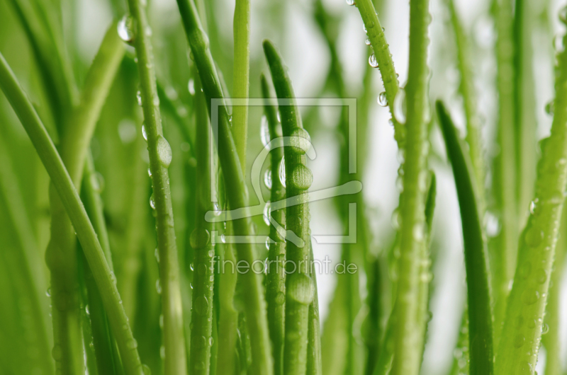 frei wählbarer Bildausschnitt für Ihr Bild auf Papier