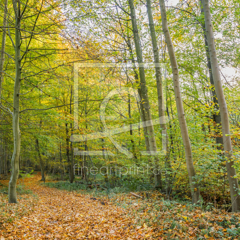 frei wählbarer Bildausschnitt für Ihr Bild auf Papier