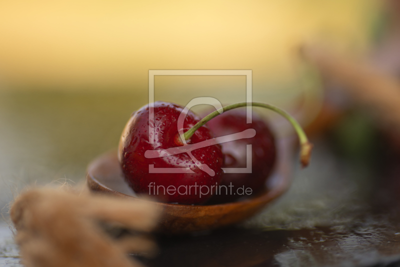 frei wählbarer Bildausschnitt für Ihr Bild auf Papier