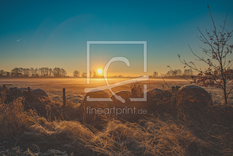 frei wählbarer Bildausschnitt für Ihr Bild auf Papier