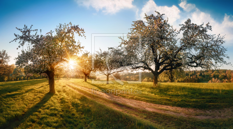 frei wählbarer Bildausschnitt für Ihr Bild auf Papier