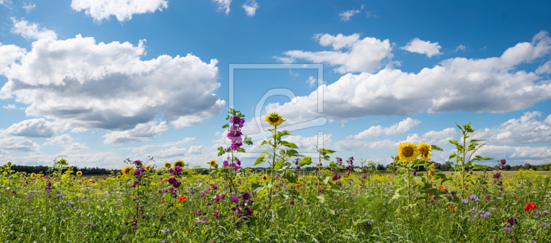 frei wählbarer Bildausschnitt für Ihr Bild auf Papier
