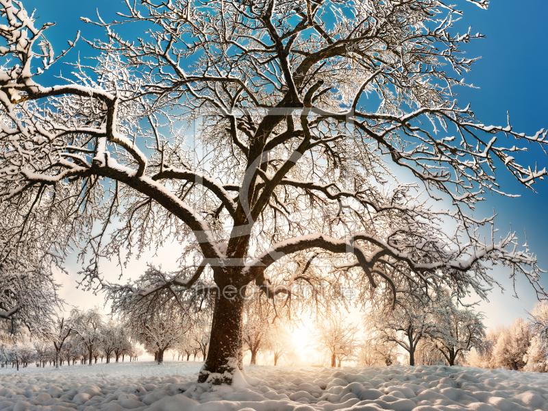 frei wählbarer Bildausschnitt für Ihr Bild auf Papier