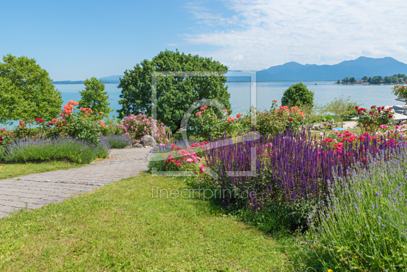 frei wählbarer Bildausschnitt für Ihr Bild auf Papier