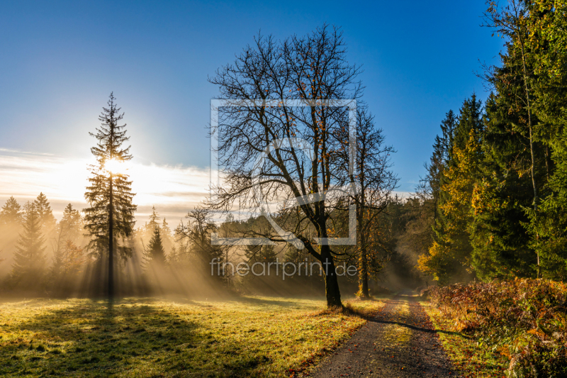 frei wählbarer Bildausschnitt für Ihr Bild auf Papier