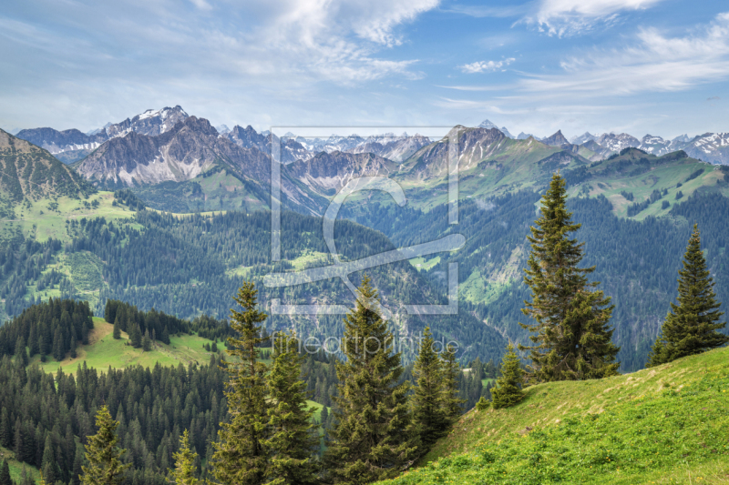 frei wählbarer Bildausschnitt für Ihr Bild auf Papier