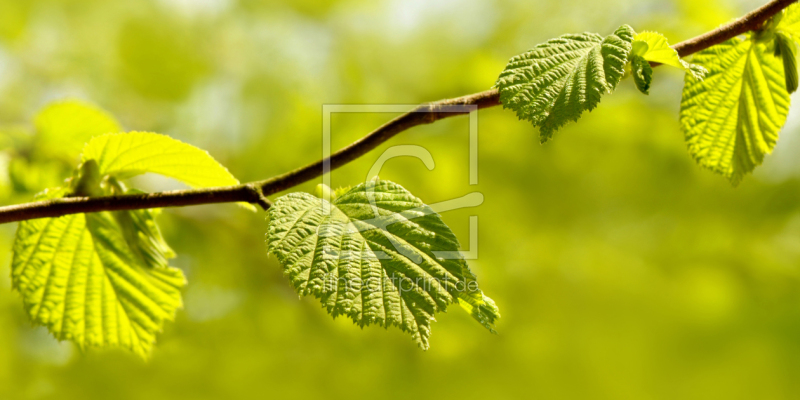frei wählbarer Bildausschnitt für Ihr Bild auf Papier