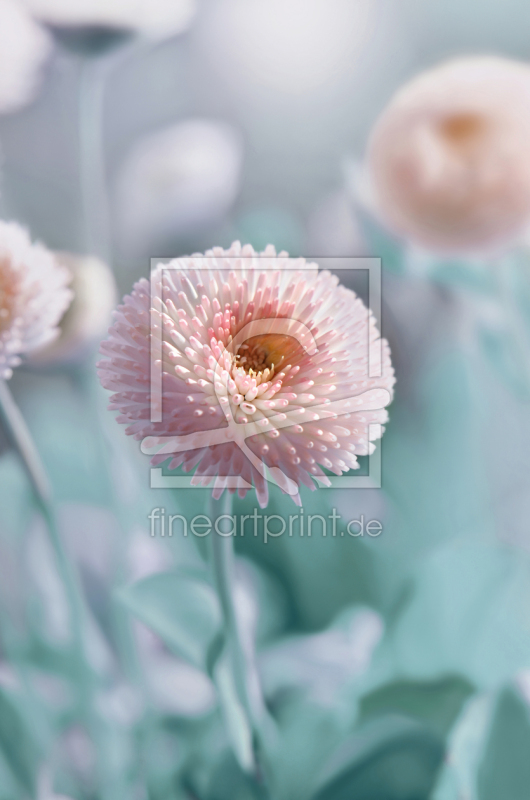 frei wählbarer Bildausschnitt für Ihr Bild auf Papier