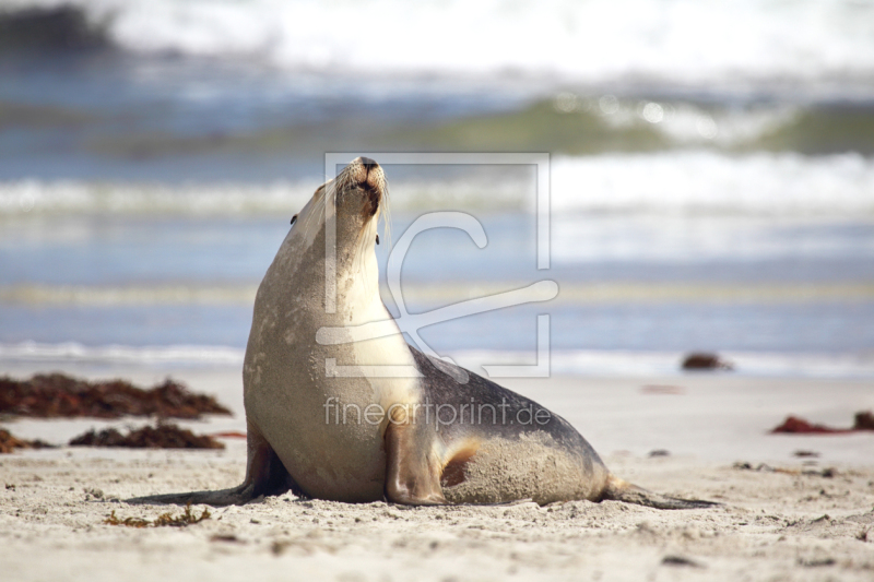 frei wählbarer Bildausschnitt für Ihr Bild auf Papier
