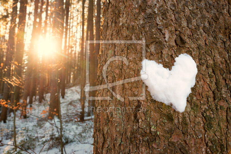 frei wählbarer Bildausschnitt für Ihr Bild auf Papier