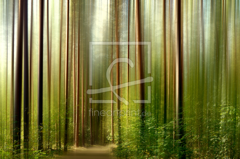 frei wählbarer Bildausschnitt für Ihr Bild auf Papier