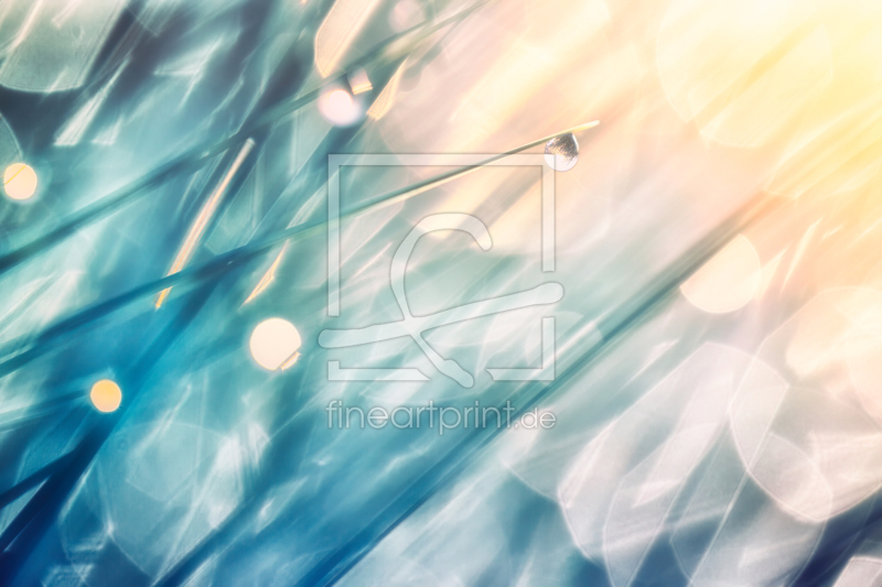 frei wählbarer Bildausschnitt für Ihr Bild auf Papier