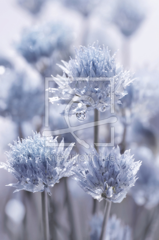 frei wählbarer Bildausschnitt für Ihr Bild auf Papier