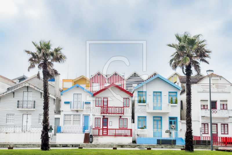 frei wählbarer Bildausschnitt für Ihr Bild auf Papier