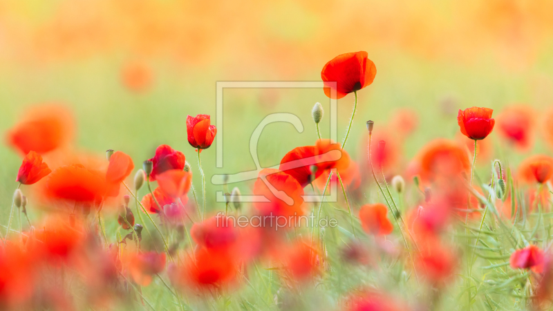 frei wählbarer Bildausschnitt für Ihr Bild auf Papier