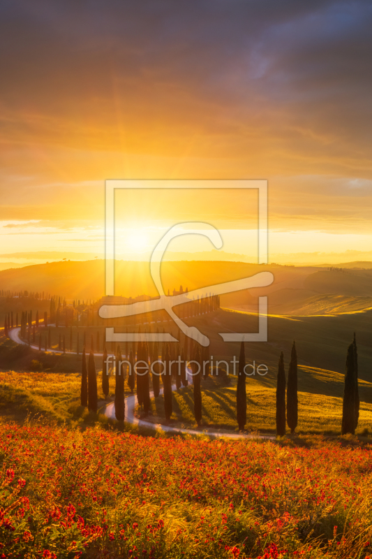 frei wählbarer Bildausschnitt für Ihr Bild auf Papier