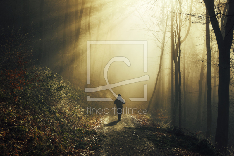 frei wählbarer Bildausschnitt für Ihr Bild auf Papier