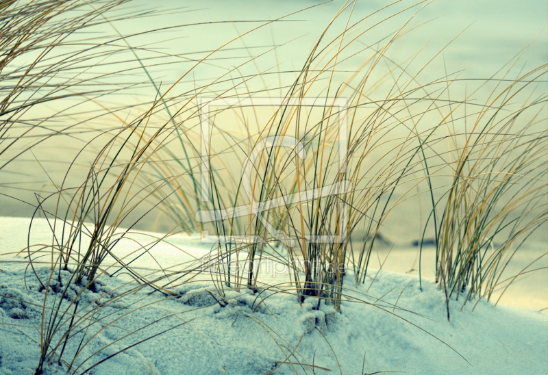 frei wählbarer Bildausschnitt für Ihr Bild auf Papier