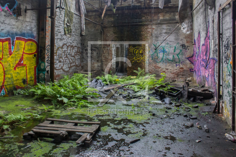 frei wählbarer Bildausschnitt für Ihr Bild auf Papier