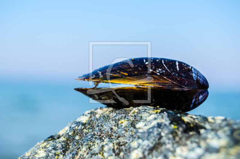 frei w&auml;hlbarer Bildausschnitt f&uuml;r Ihr Bild auf Pillow