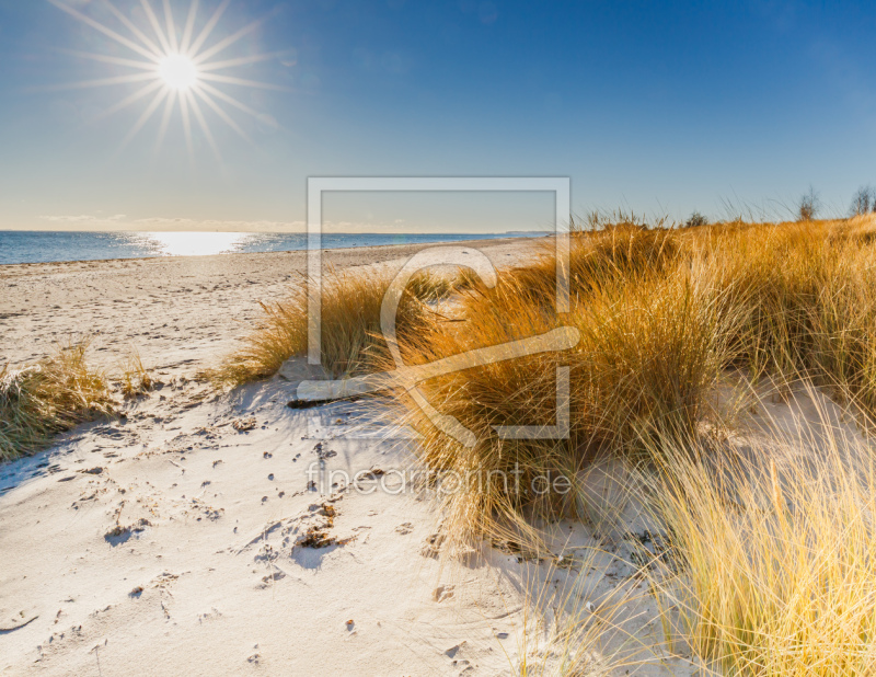 frei w&auml;hlbarer Bildausschnitt f&uuml;r Ihr Bild auf Pillow