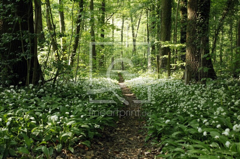 frei wählbarer Bildausschnitt für Ihr Bild auf Poster