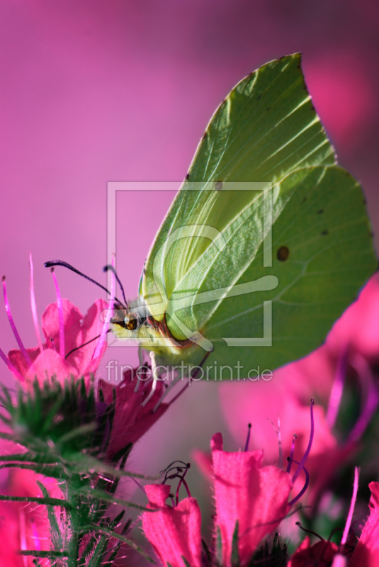 frei w&auml;hlbarer Bildausschnitt f&uuml;r Ihr Bild auf Poster