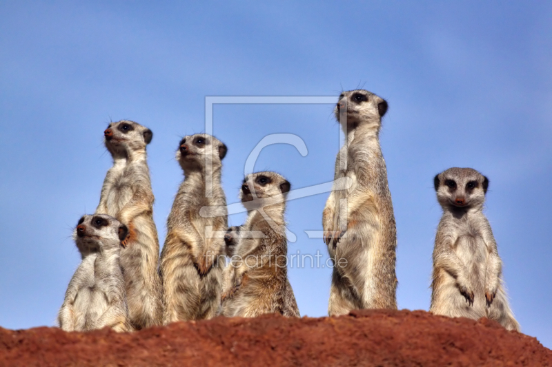 frei w&auml;hlbarer Bildausschnitt f&uuml;r Ihr Bild auf Poster