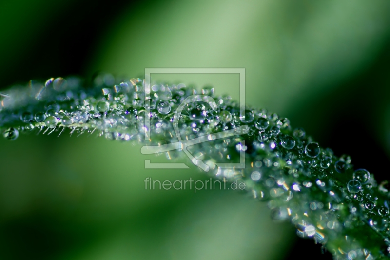 frei w&auml;hlbarer Bildausschnitt f&uuml;r Ihr Bild auf Poster