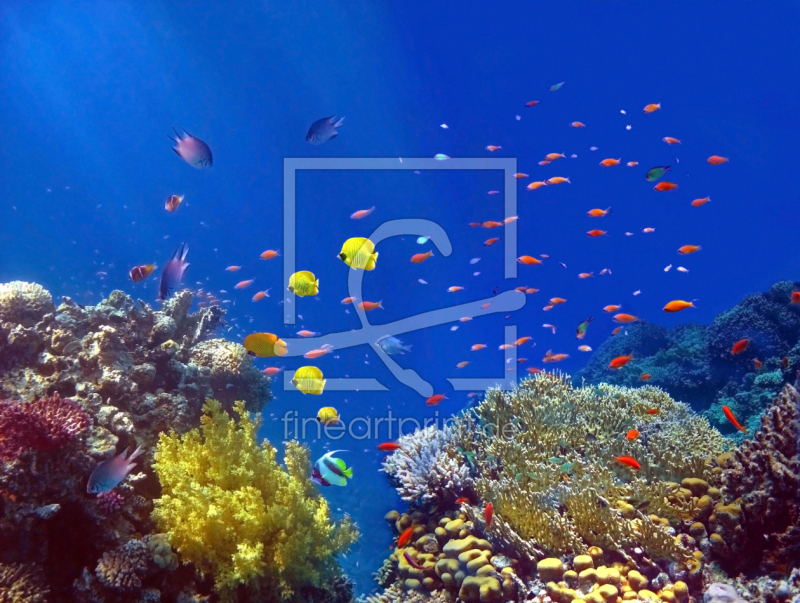 frei w&auml;hlbarer Bildausschnitt f&uuml;r Ihr Bild auf Poster