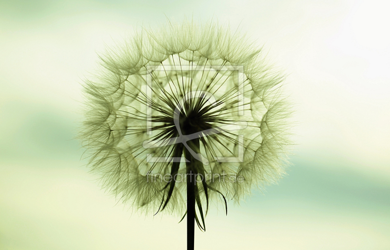 frei w&auml;hlbarer Bildausschnitt f&uuml;r Ihr Bild auf Poster