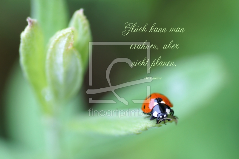 frei w&auml;hlbarer Bildausschnitt f&uuml;r Ihr Bild auf Poster