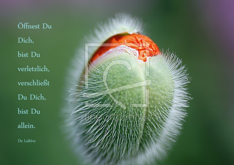 frei w&auml;hlbarer Bildausschnitt f&uuml;r Ihr Bild auf Poster