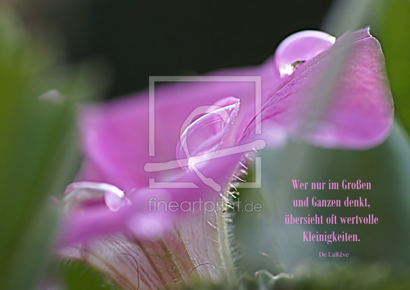 frei w&auml;hlbarer Bildausschnitt f&uuml;r Ihr Bild auf Poster