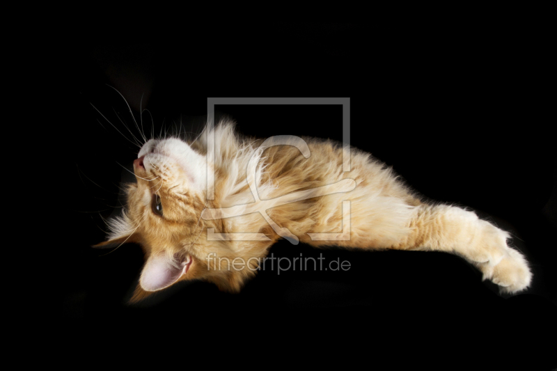 frei w&auml;hlbarer Bildausschnitt f&uuml;r Ihr Bild auf Poster