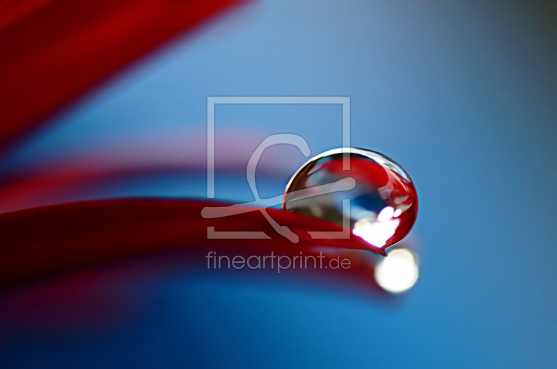 frei w&auml;hlbarer Bildausschnitt f&uuml;r Ihr Bild auf Poster