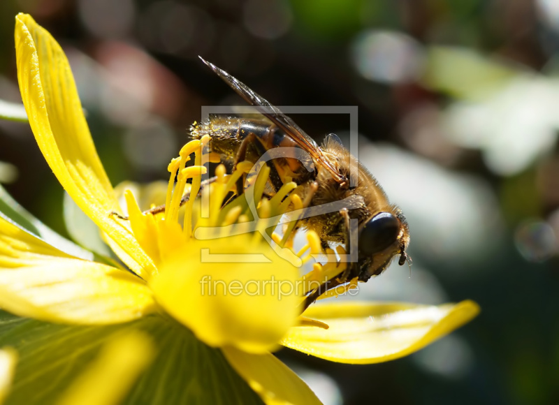 frei w&auml;hlbarer Bildausschnitt f&uuml;r Ihr Bild auf Poster