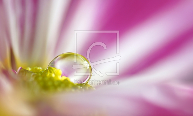 frei w&auml;hlbarer Bildausschnitt f&uuml;r Ihr Bild auf Poster