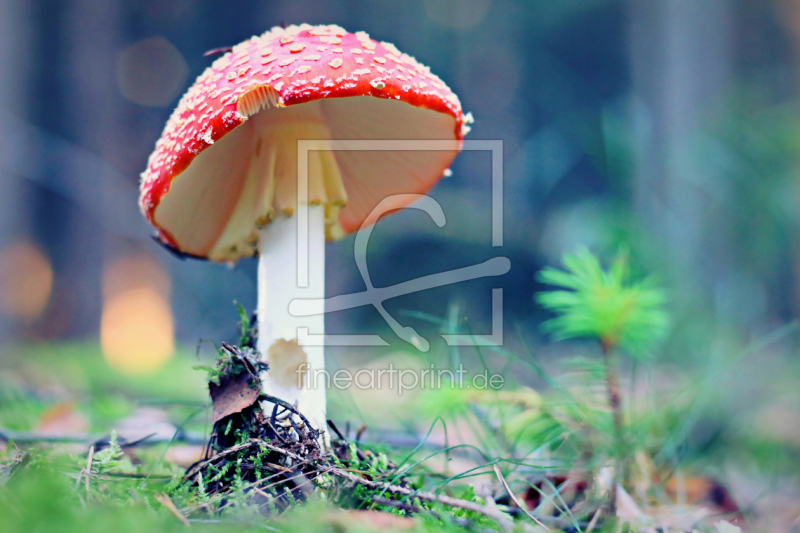 frei w&auml;hlbarer Bildausschnitt f&uuml;r Ihr Bild auf Poster