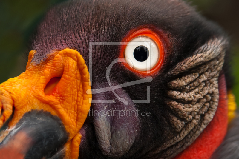 frei w&auml;hlbarer Bildausschnitt f&uuml;r Ihr Bild auf Poster